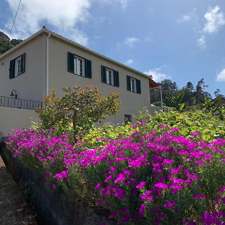 Terra Batista House Villa Porto Da Cruz Luaran gambar