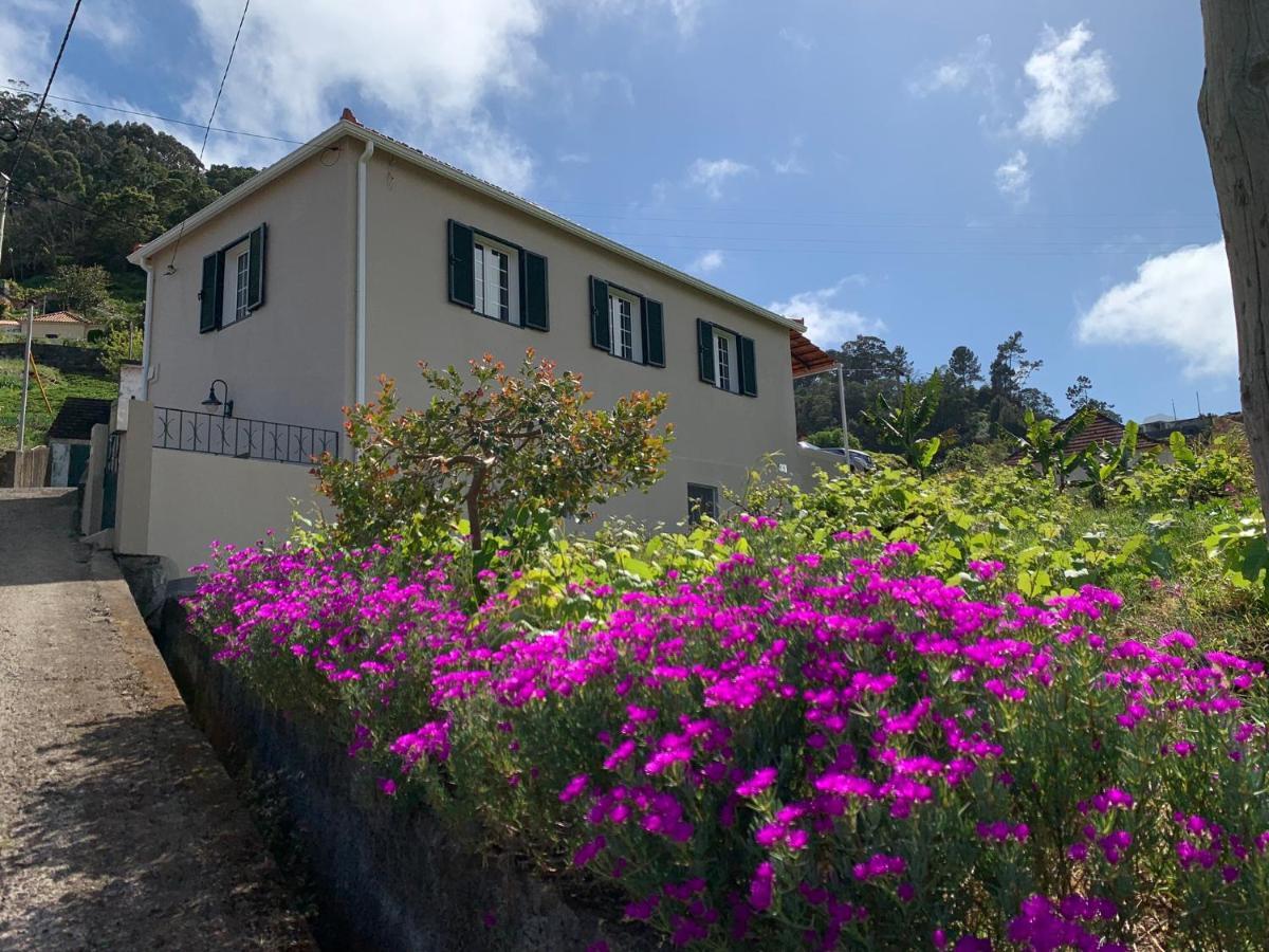 Terra Batista House Villa Porto Da Cruz Luaran gambar